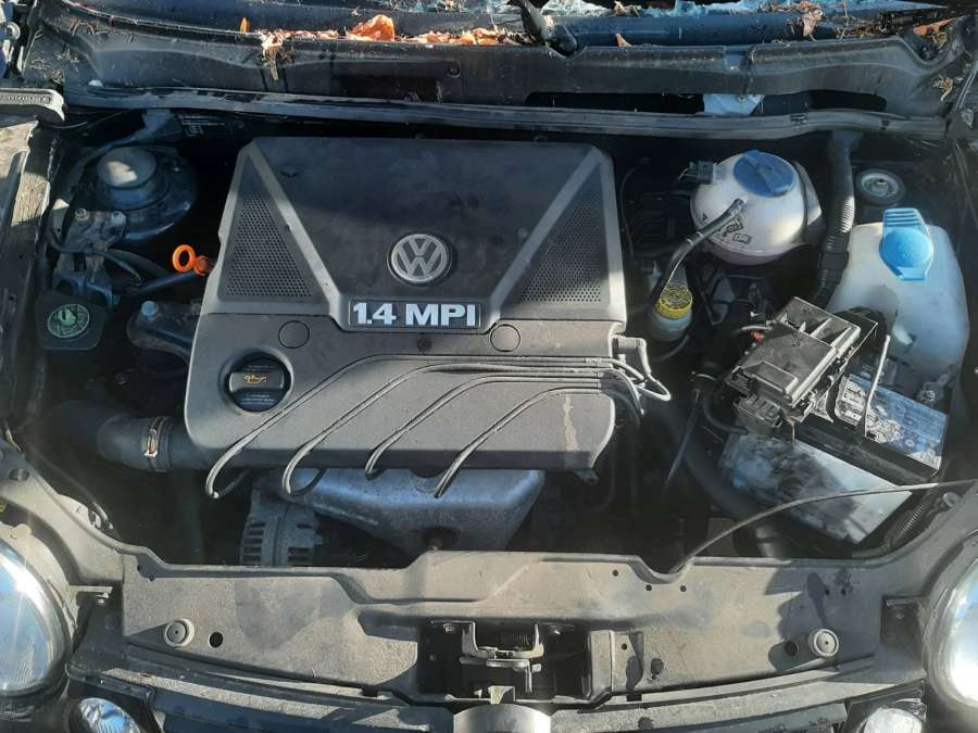 0280750095 Заслонка дроссельная Volkswagen Lupo (1998-2005) Хетчбэк 5дв. 2004г. | Фото № 10 0280750095 Заслонка дроссельная Volkswagen Lupo (1998-2005) Хетчбэк 5дв. 2004г. - Фото 10