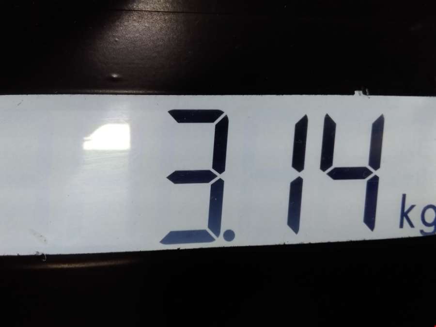 Суппорт передний правый Skoda Fabia 2 (5J) (2007-2014) Хетчбэк 5дв. 2009г. | Фото № 8 Суппорт передний правый Skoda Fabia 2 (5J) (2007-2014) Хетчбэк 5дв. 2009г. - Фото 8