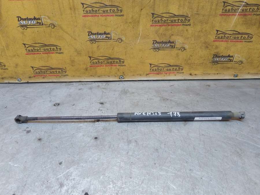 Амортизатор крышки багажника (3-5 двери) Toyota Avensis Хэтчбэк 5 дв. 2004г. | Фото № 2 Амортизатор крышки багажника (3-5 двери) Toyota Avensis Хэтчбэк 5 дв. 2004г. - Фото 2