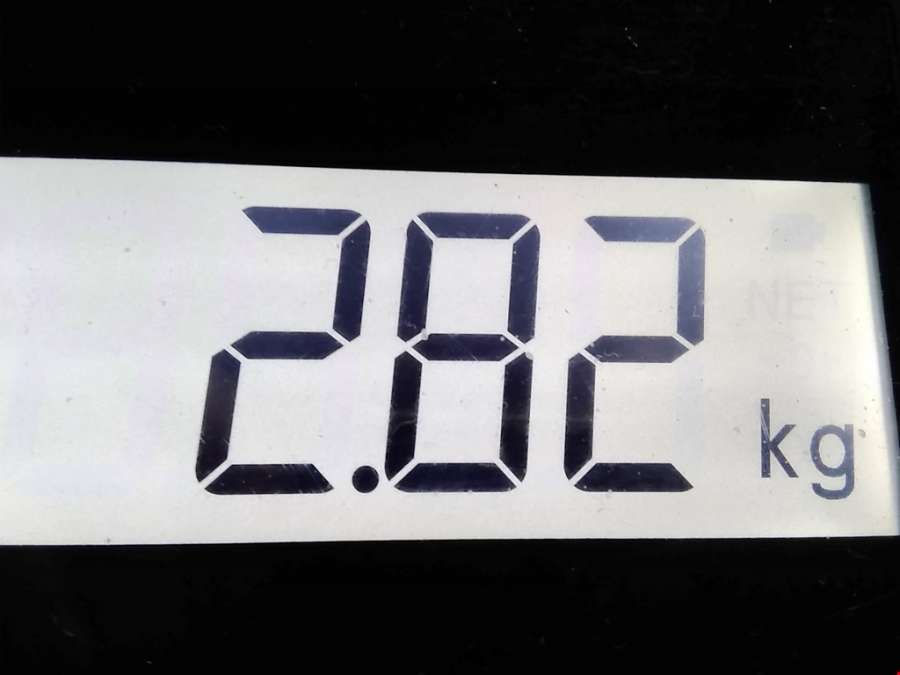 700997110 Коллектор впускной Opel Astra H (2004-2014) Хетчбэк 5дв. 2005г. | Фото № 3 700997110 Коллектор впускной Opel Astra H (2004-2014) Хетчбэк 5дв. 2005г. - Фото 3