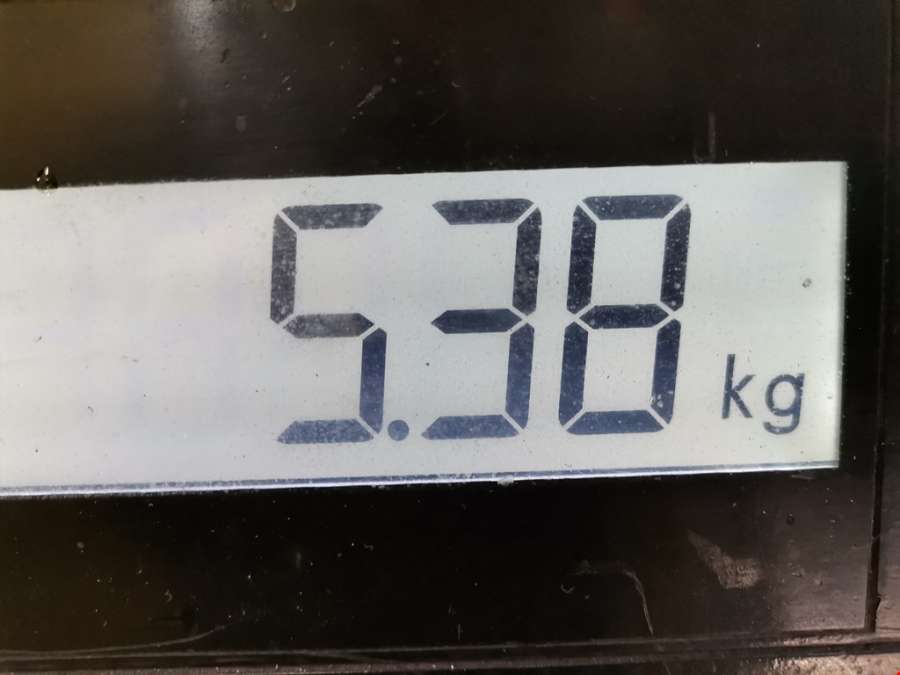 SD6V121918 Компрессор кондиционера Renault Clio 3 (2005-2012) Хетчбэк 5дв. 2009г. | Фото № 8 SD6V121918 Компрессор кондиционера Renault Clio 3 (2005-2012) Хетчбэк 5дв. 2009г. - Фото 8