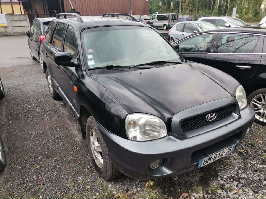 Ограничитель открывания двери Hyundai Santa Fe 1 (SM) (2000-2006) Внедорожник 5дв. 2004г. | Фото № 9 Ограничитель открывания двери Hyundai Santa Fe 1 (SM) (2000-2006) Внедорожник 5дв. 2004г. - Фото 9