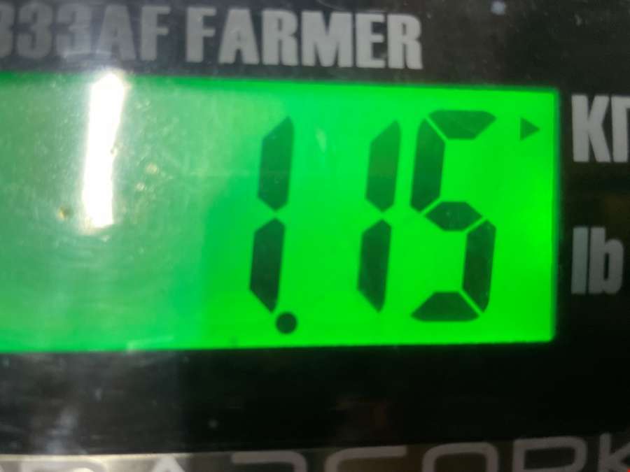 560981701 Ремень безопасности задний левый Volkswagen Touareg 1 (2002-2010) Внедорожник 5дв. 2005г. | Фото № 5 560981701 Ремень безопасности задний левый Volkswagen Touareg 1 (2002-2010) Внедорожник 5дв. 2005г. - Фото 5