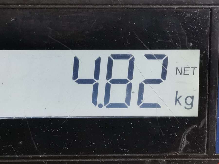 Суппорт передний правый Ford Focus 2 (2004-2011) Седан 2008г. | Фото № 6 Суппорт передний правый Ford Focus 2 (2004-2011) Седан 2008г. - Фото 6