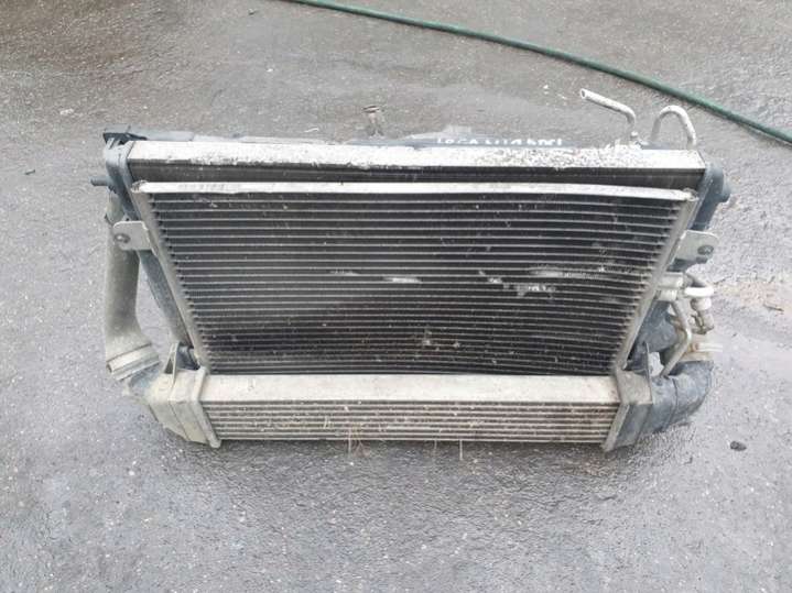 8200424155 Интеркулер Dacia Logan 1 поколение (2004-2008) 2004г. | Фото № 2 8200424155 Интеркулер Dacia Logan 1 поколение (2004-2008) 2004г. - Фото 2