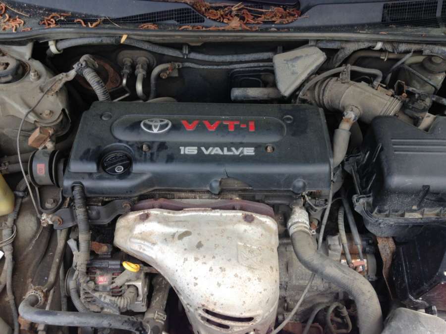 Ремень безопасности задний правый Toyota Camry (XV30) (2001-2006) Седан 2002г. | Фото № 9 Ремень безопасности задний правый Toyota Camry (XV30) (2001-2006) Седан 2002г. - Фото 9