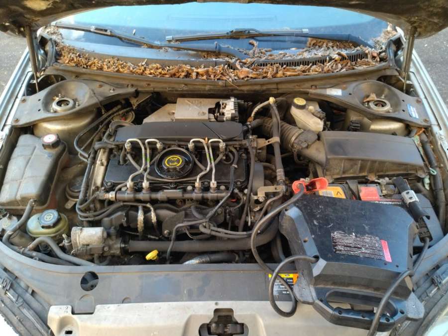 Амортизатор задний правый Ford Mondeo 3 (2000-2007) Универсал 2007г. | Фото № 8 Амортизатор задний правый Ford Mondeo 3 (2000-2007) Универсал 2007г. - Фото 8