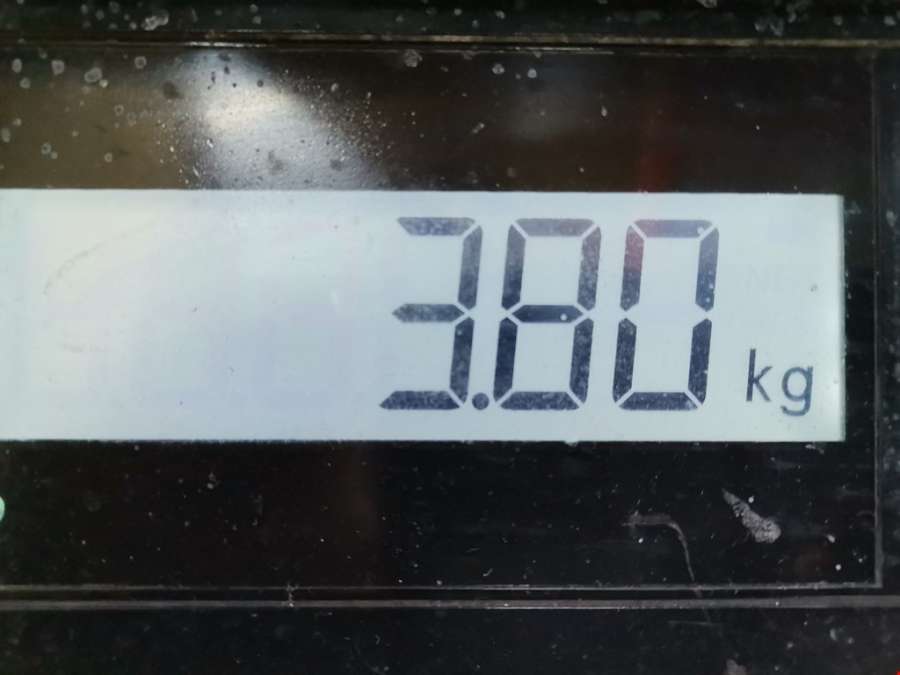 Кронштейн промежуточного вала Peugeot Expert 2 (G9) (2007-2016) Фургон 2008г. | Фото № 7 Кронштейн промежуточного вала Peugeot Expert 2 (G9) (2007-2016) Фургон 2008г. - Фото 7