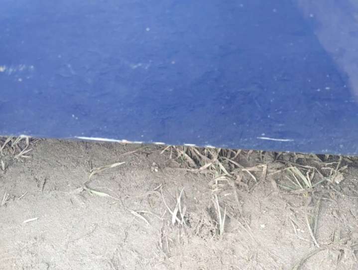 93187974 13220457 Дверь передняя правая Opel Astra H (2004-2007) 2004г. | Фото № 6 93187974 13220457 Дверь передняя правая Opel Astra H (2004-2007) 2004г. - Фото 6