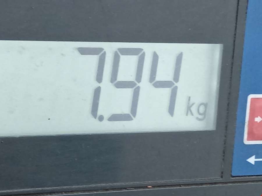 13354025 Стойка амортизатора переднего левого Opel Astra J (2009-2018) Хетчбэк 5дв. 2011г. | Фото № 6 13354025 Стойка амортизатора переднего левого Opel Astra J (2009-2018) Хетчбэк 5дв. 2011г. - Фото 6