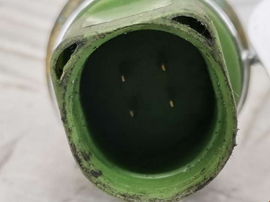 1J0359481A Датчик температуры охлаждающей жидкости Volkswagen Golf 4 (1997-2004) Хетчбэк 5дв. 2001г. | Фото № 2 1J0359481A Датчик температуры охлаждающей жидкости Volkswagen Golf 4 (1997-2004) Хетчбэк 5дв. 2001г. - Фото 2