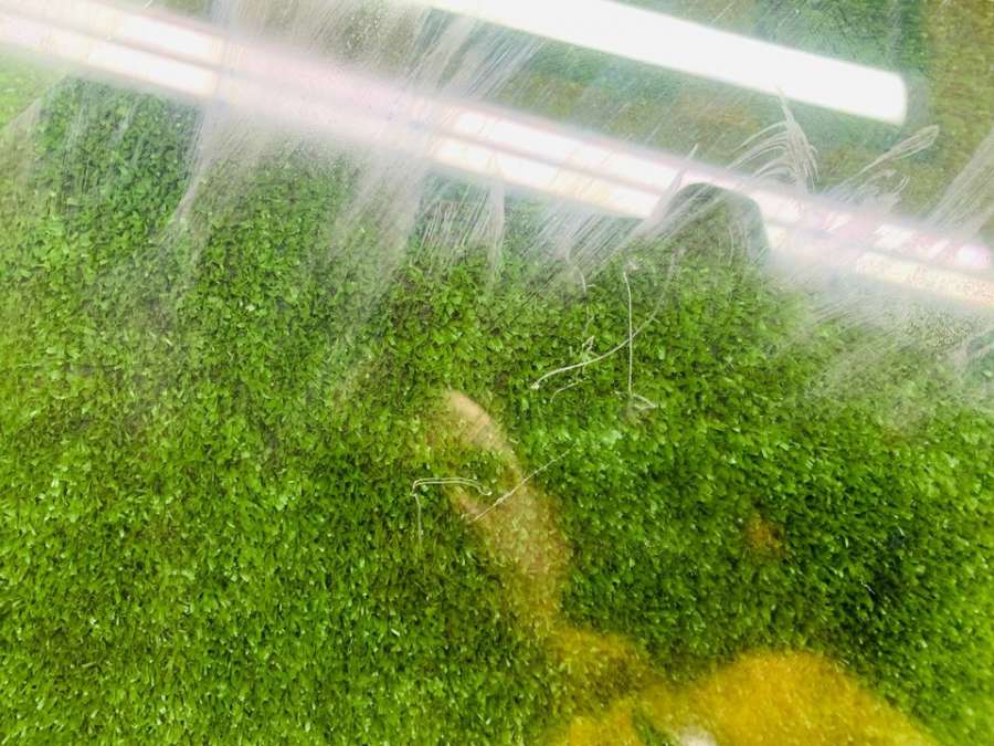 Стекло двери передней правой   Opel Insignia I 2009г. | Фото № 4    Стекло двери передней правой   Opel Insignia I 2009г. - Фото 4