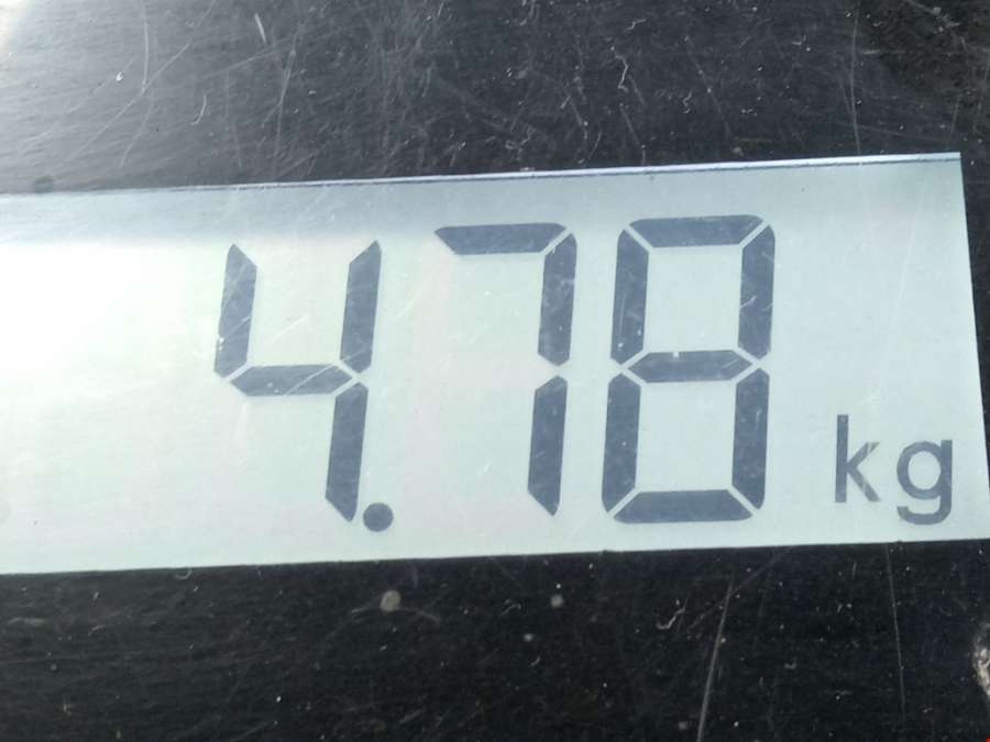 Суппорт передний правый Ford Focus 2 (2004-2011) Хетчбэк 5дв. 2008г. | Фото № 5 Суппорт передний правый Ford Focus 2 (2004-2011) Хетчбэк 5дв. 2008г. - Фото 5