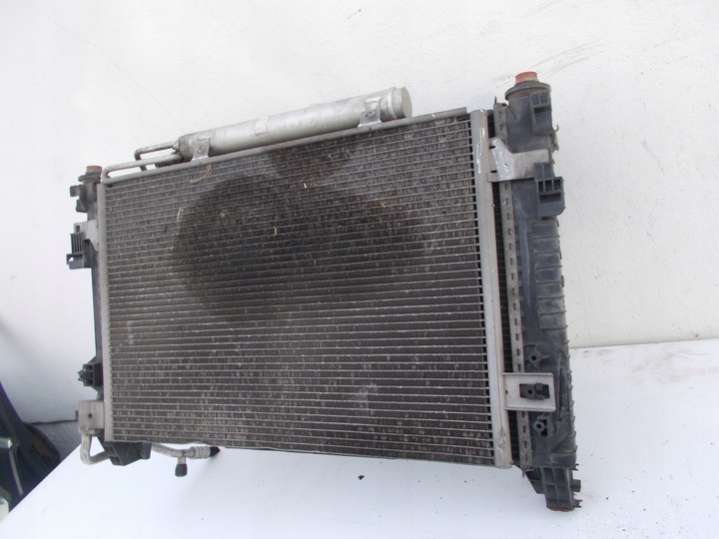 A1695003304 Радиатор (основной)  Mercedes B W245 (2005-2008) 2005г. | Фото № 7  A1695003304 Радиатор (основной)  Mercedes B W245 (2005-2008) 2005г. - Фото 7