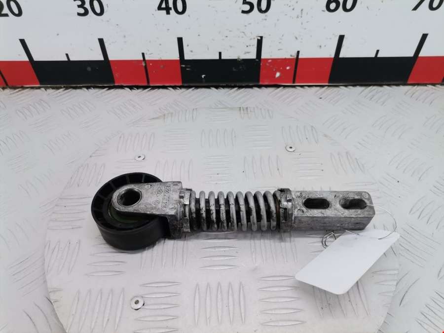 8200230958 Натяжитель ремня генератора (приводного поликлинового ремня Renault Megane 1 (1995-2003) Хетчбэк 5дв. 2002г. | Фото № 1 8200230958 Натяжитель ремня генератора (приводного поликлинового ремня Renault Megane 1 (1995-2003) Хетчбэк 5дв. 2002г. - Фото 1