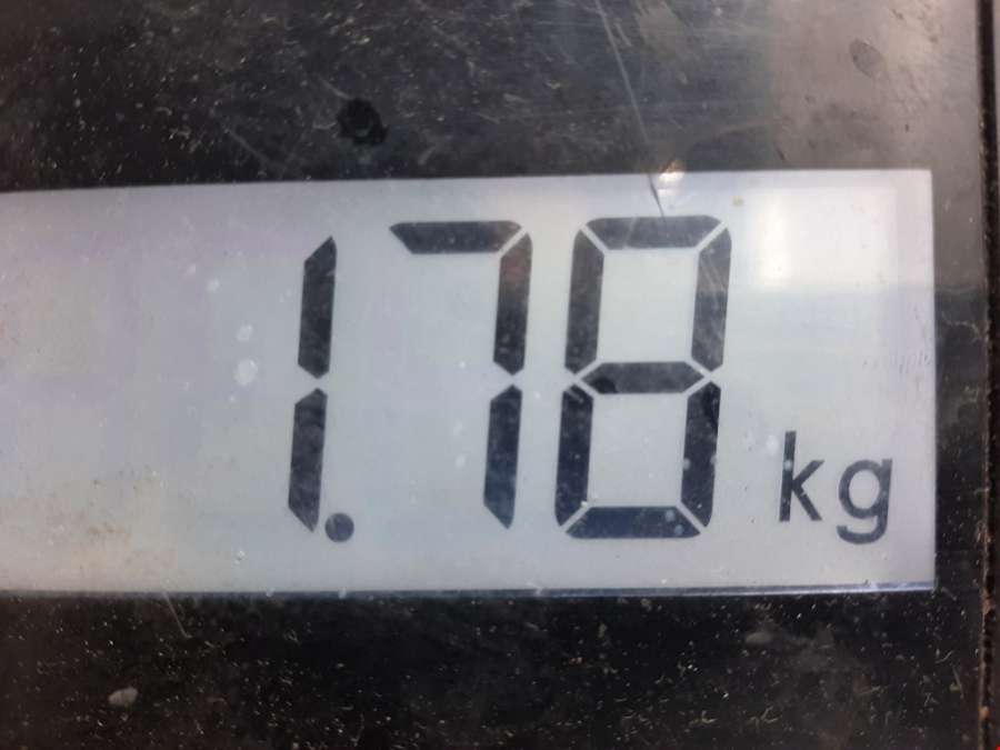 312304 Петля двери распашной Opel Vivaro A (2001-2014) Микроавтобус 2005г. | Фото № 5 312304 Петля двери распашной Opel Vivaro A (2001-2014) Микроавтобус 2005г. - Фото 5