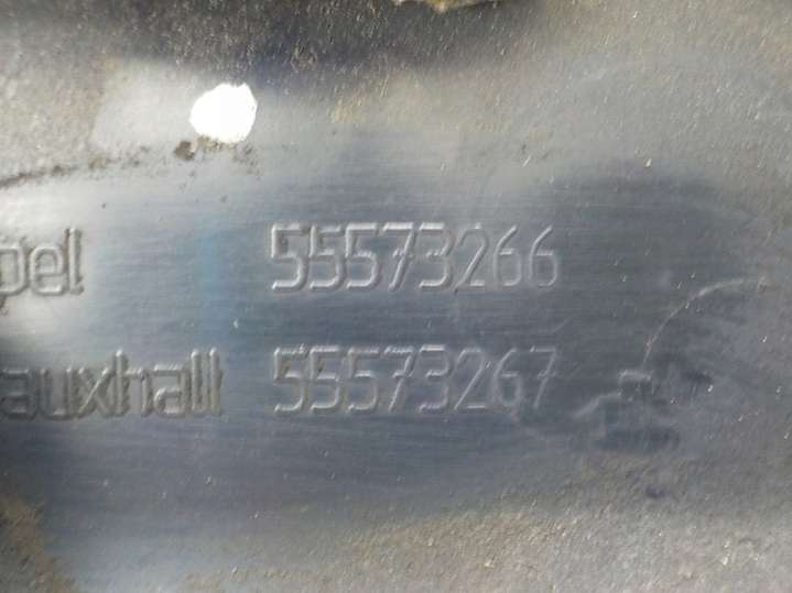 A17DTJ 55573266 Декоративная крышка двигателя  Opel Astra J (2009-2012) 2009г. | Фото № 3  A17DTJ 55573266 Декоративная крышка двигателя  Opel Astra J (2009-2012) 2009г. - Фото 3