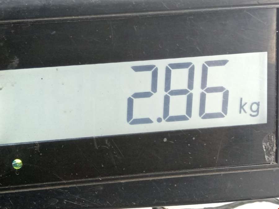 Суппорт задний правый Volvo S60 1 (2000-2009) Седан 2001г. | Фото № 5 Суппорт задний правый Volvo S60 1 (2000-2009) Седан 2001г. - Фото 5