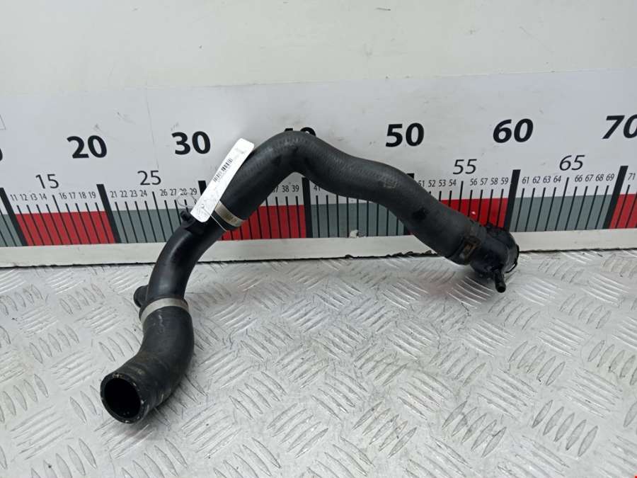 3C0121087A Патрубок системы охлаждения Audi A3 8P (2003-2013) Хетчбэк 5дв. 2009г. | Фото № 1 3C0121087A Патрубок системы охлаждения Audi A3 8P (2003-2013) Хетчбэк 5дв. 2009г. - Фото 1