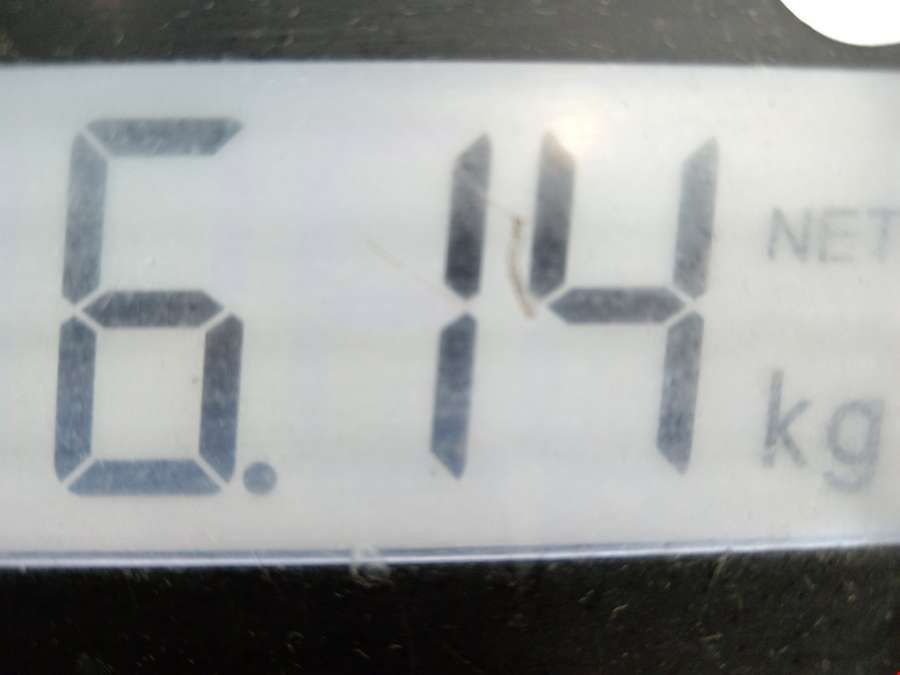 Суппорт передний правый Kia Sorento 1 (BL) (2002-2011) Внедорожник 5дв. 2004г. | Фото № 5 Суппорт передний правый Kia Sorento 1 (BL) (2002-2011) Внедорожник 5дв. 2004г. - Фото 5