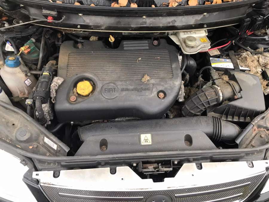 46408006 Подсветка номера Fiat Multipla (186) (1998-2010) Минивэн 2007г. | Фото № 10 46408006 Подсветка номера Fiat Multipla (186) (1998-2010) Минивэн 2007г. - Фото 10