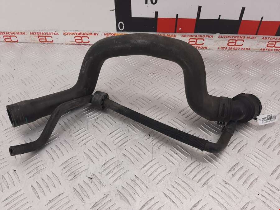 1K0122101AC Патрубок системы охлаждения Audi A3 8P (2003-2013) Хетчбэк 3дв. 2004г. | Фото № 1 1K0122101AC Патрубок системы охлаждения Audi A3 8P (2003-2013) Хетчбэк 3дв. 2004г. - Фото 1