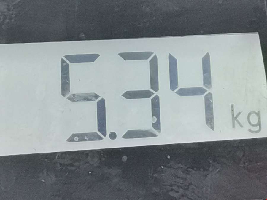 2990162 Усилитель бампера задний BMW X1 (E84) (2009-2015) Внедорожник 5дв. 2010г. | Фото № 7 2990162 Усилитель бампера задний BMW X1 (E84) (2009-2015) Внедорожник 5дв. 2010г. - Фото 7