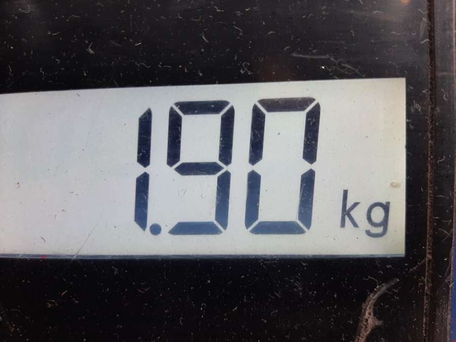 Рычаг передний правый Mercedes A-Class (W168) (1997-2004) Хетчбэк 5дв. 2003г. | Фото № 6 Рычаг передний правый Mercedes A-Class (W168) (1997-2004) Хетчбэк 5дв. 2003г. - Фото 6