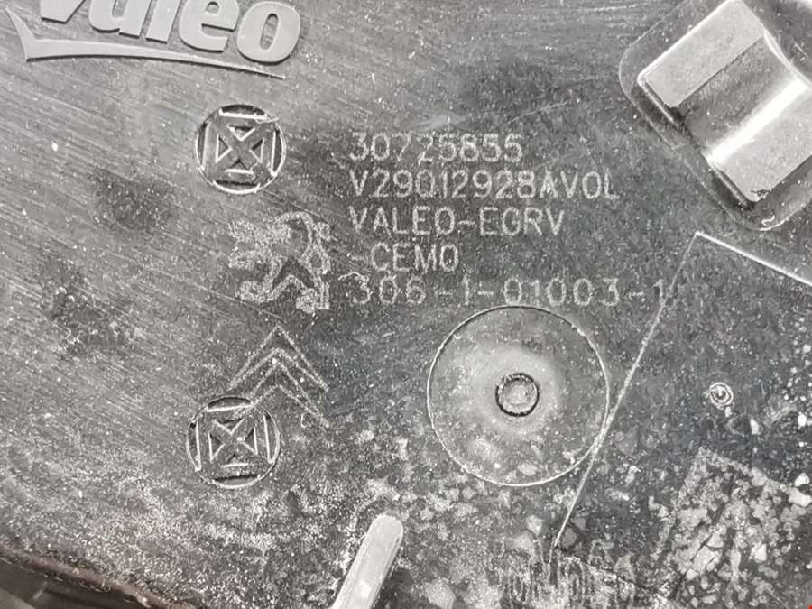 номереграм