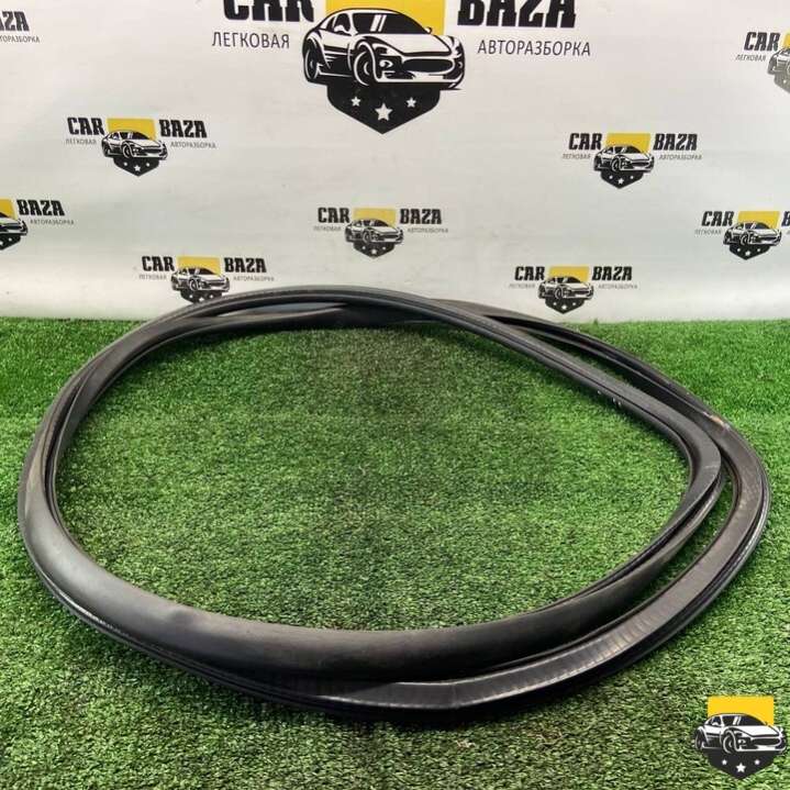 6Q4867911H Уплотнитель двери передней правой Volkswagen Polo 2006г. | Фото № 1 6Q4867911H Уплотнитель двери передней правой Volkswagen Polo 2006г. - Фото 1