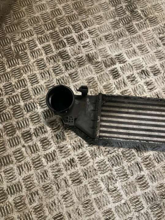 2035000600 Интеркулер Mercedes C W203/S203/L203 (2000-2004) 2000г. | Фото № 2 2035000600 Интеркулер Mercedes C W203/S203/L203 (2000-2004) 2000г. - Фото 2