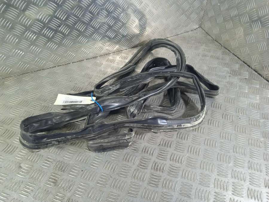 1118637 Уплотнитель Tesla Model X 2019г. | Фото № 1 1118637 Уплотнитель Tesla Model X 2019г. - Фото 1