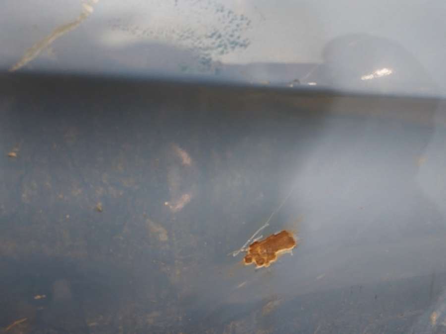 Дверь передняя правая Citroen Xsara Picasso Минивэн 2002г. | Фото № 7 Дверь передняя правая Citroen Xsara Picasso Минивэн 2002г. - Фото 7