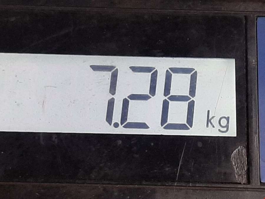 Полуось передняя правая (приводной вал шрус) Mercedes Vito (W638) (1996-2003) Микроавтобус 1998г. | Фото № 4 Полуось передняя правая (приводной вал шрус) Mercedes Vito (W638) (1996-2003) Микроавтобус 1998г. - Фото 4