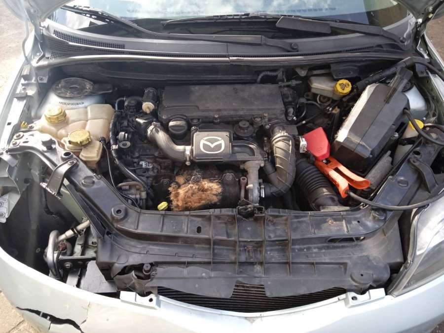 Ручка стеклоподъемника Mazda 2 DY (2003-2007) Хетчбэк 5дв. 2003г. | Фото № 16 Ручка стеклоподъемника Mazda 2 DY (2003-2007) Хетчбэк 5дв. 2003г. - Фото 16