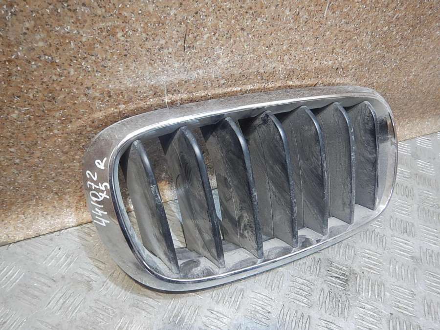 7316076 Решетка радиатора  Bmw X5 0000г. | Фото № 2  7316076 Решетка радиатора  Bmw X5 0000г. - Фото 2