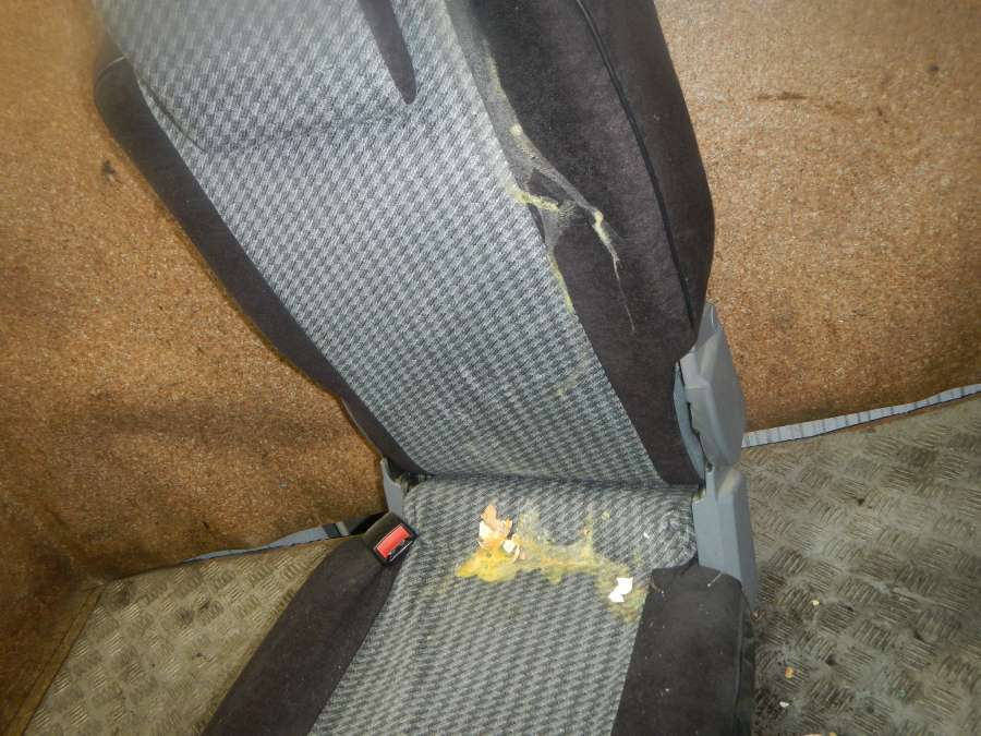 12368291237032 Сиденье заднее левое Ford C-Max 0000г. | Фото № 2 12368291237032 Сиденье заднее левое Ford C-Max 0000г. - Фото 2