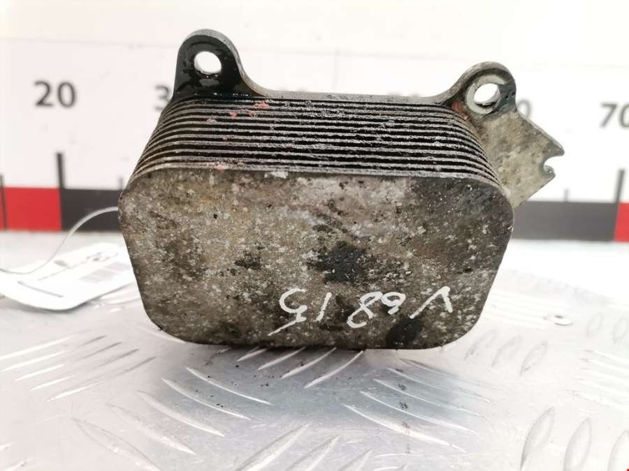 Теплообменник Citroen Nemo (2007-2017) Фургон 2008г. | Фото № 3 Теплообменник Citroen Nemo (2007-2017) Фургон 2008г. - Фото 3