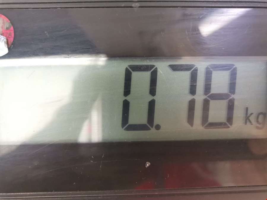 5N0837885H Ручка двери наружная передняя правая Skoda Rapid (2012-2020) Хетчбэк 5дв. 2015г. | Фото № 6 5N0837885H Ручка двери наружная передняя правая Skoda Rapid (2012-2020) Хетчбэк 5дв. 2015г. - Фото 6