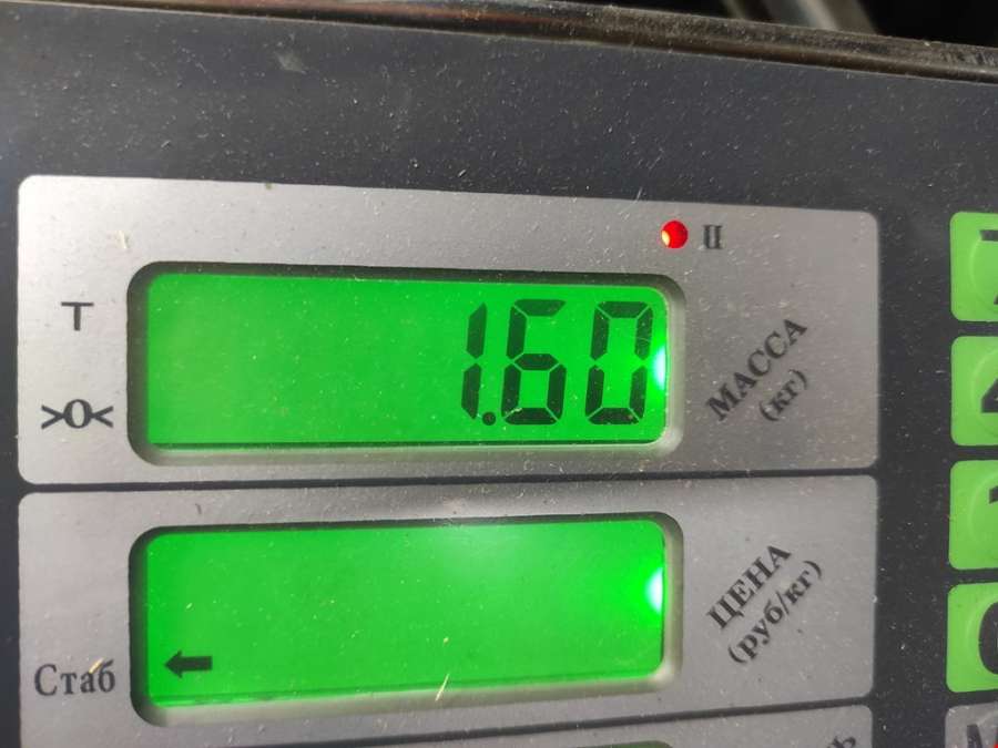 98ABA27407 Обшивка (карта) двери задней левой Ford Focus 1 (1998-2005) Универсал 1998г. | Фото № 7 98ABA27407 Обшивка (карта) двери задней левой Ford Focus 1 (1998-2005) Универсал 1998г. - Фото 7