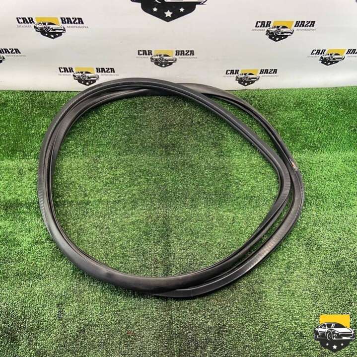 6Q4867911H Уплотнитель двери передней правой Volkswagen Polo 2006г. | Фото № 2 6Q4867911H Уплотнитель двери передней правой Volkswagen Polo 2006г. - Фото 2