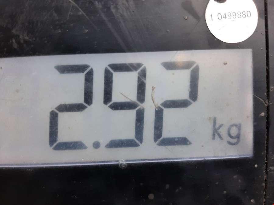 Кронштейн (крепление скоба) стабилизатора переднего Iveco Daily 3 (1999-2006) Микроавтобус 2001г. | Фото № 6 Кронштейн (крепление скоба) стабилизатора переднего Iveco Daily 3 (1999-2006) Микроавтобус 2001г. - Фото 6