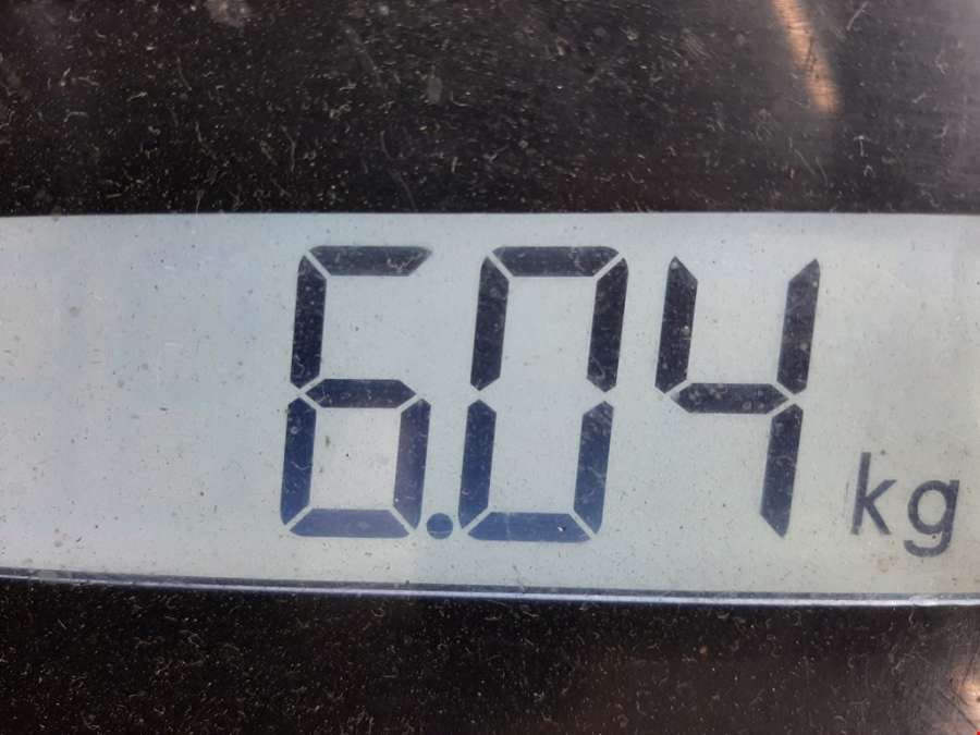 Амортизатор задний правый MAN TGM (2005-2020) Грузовой 2012г. | Фото № 6 Амортизатор задний правый MAN TGM (2005-2020) Грузовой 2012г. - Фото 6