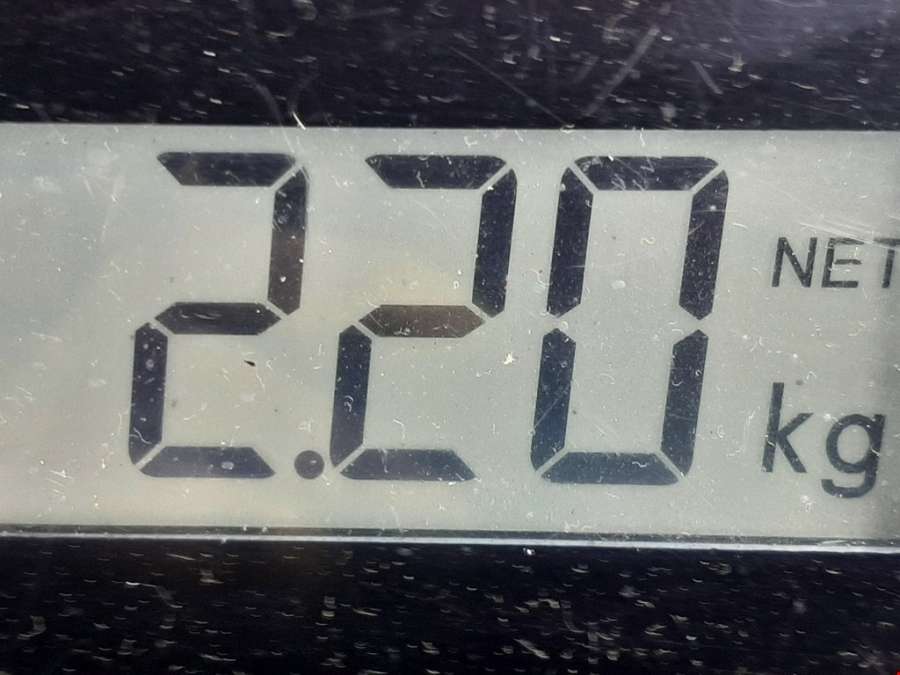 Суппорт передний правый Volkswagen Lupo (1998-2005) Хетчбэк 3дв. 2000г. | Фото № 8 Суппорт передний правый Volkswagen Lupo (1998-2005) Хетчбэк 3дв. 2000г. - Фото 8