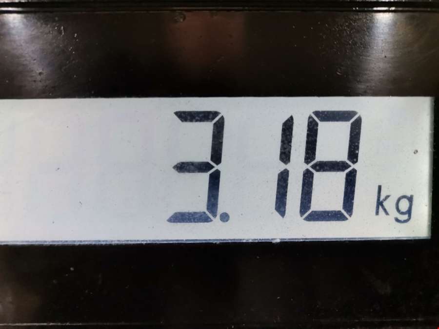 Шкив коленвала Hyundai Galloper 2 (1997-2003) Внедорожник 5дв. 2000г. | Фото № 3 Шкив коленвала Hyundai Galloper 2 (1997-2003) Внедорожник 5дв. 2000г. - Фото 3