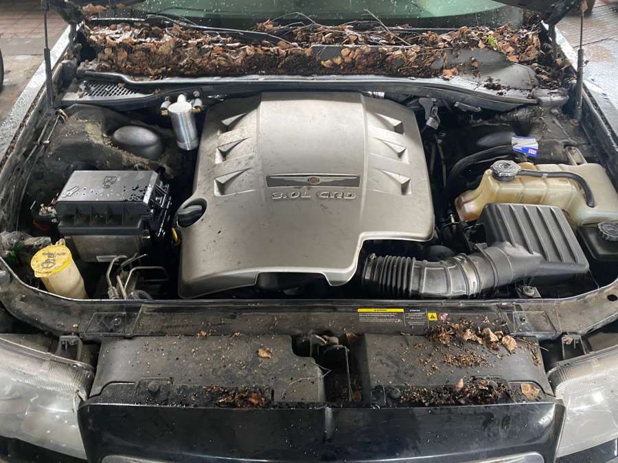 A2C53095495 Датчик уровня топлива Chrysler 300C 1 (2004-2011) Универсал 2006г. | Фото № 6 A2C53095495 Датчик уровня топлива Chrysler 300C 1 (2004-2011) Универсал 2006г. - Фото 6