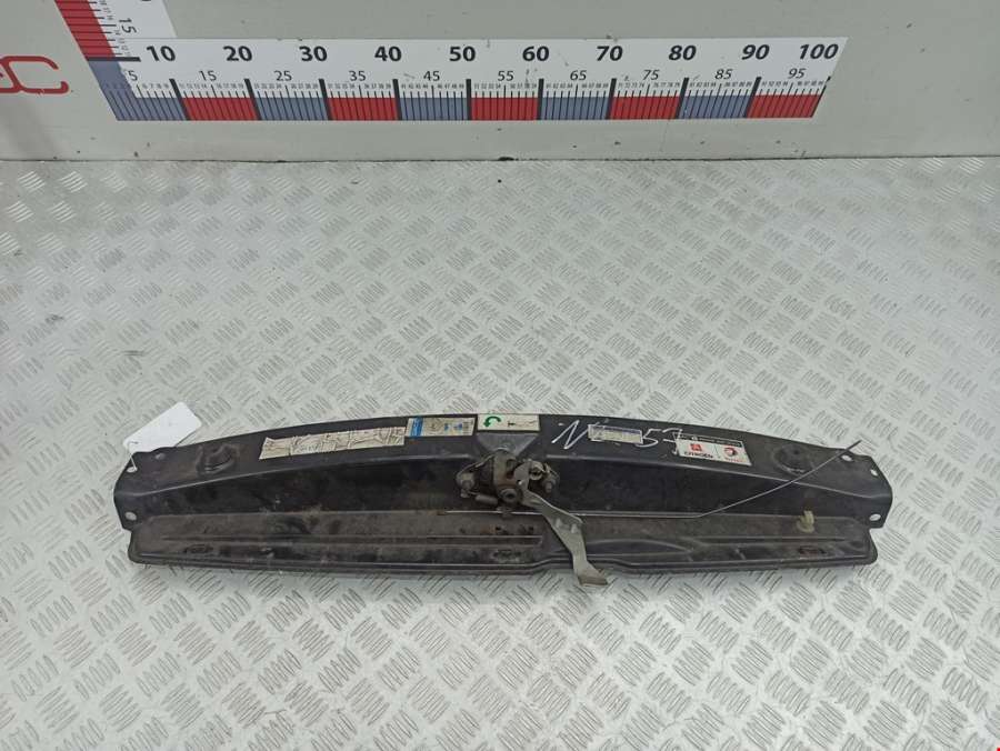 Накладка декоративная (на рамку радиатора) Citroen Xsara Picasso (1999-2012) Минивэн 2006г. | Фото № 1 Накладка декоративная (на рамку радиатора) Citroen Xsara Picasso (1999-2012) Минивэн 2006г. - Фото 1