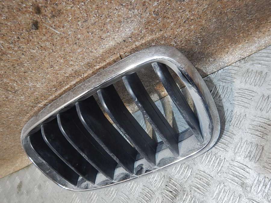 7316076 Решетка радиатора  Bmw X5 0000г. | Фото № 3  7316076 Решетка радиатора  Bmw X5 0000г. - Фото 3