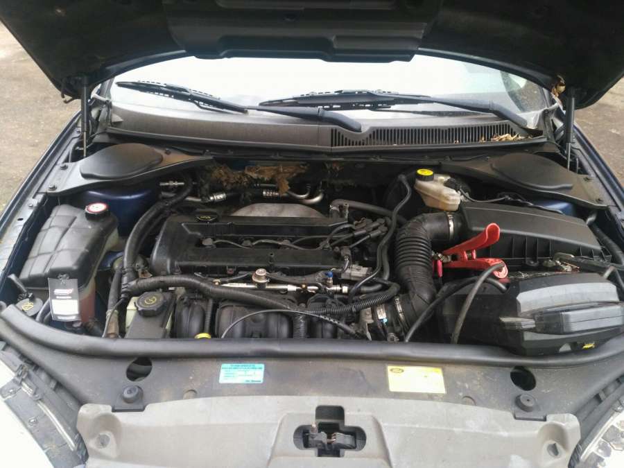 0221503491 Катушка зажигания Ford Mondeo 3 (2000-2007) Универсал 2002г. | Фото № 10 0221503491 Катушка зажигания Ford Mondeo 3 (2000-2007) Универсал 2002г. - Фото 10