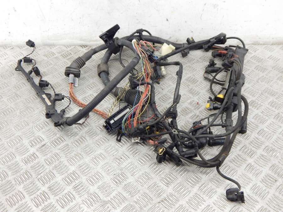 12 51 7 796 818 7796818 Проводка двигателя BMW X5-series (E53) 2005г. | Фото № 1 12 51 7 796 818 7796818 Проводка двигателя BMW X5-series (E53) 2005г. - Фото 1